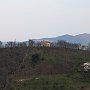 IMG_0307