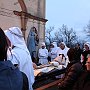 IMG_0550