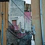_DSC0528