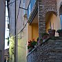 _DSC0556