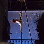 _DSC0697