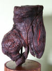 Scultura: Tensione residua